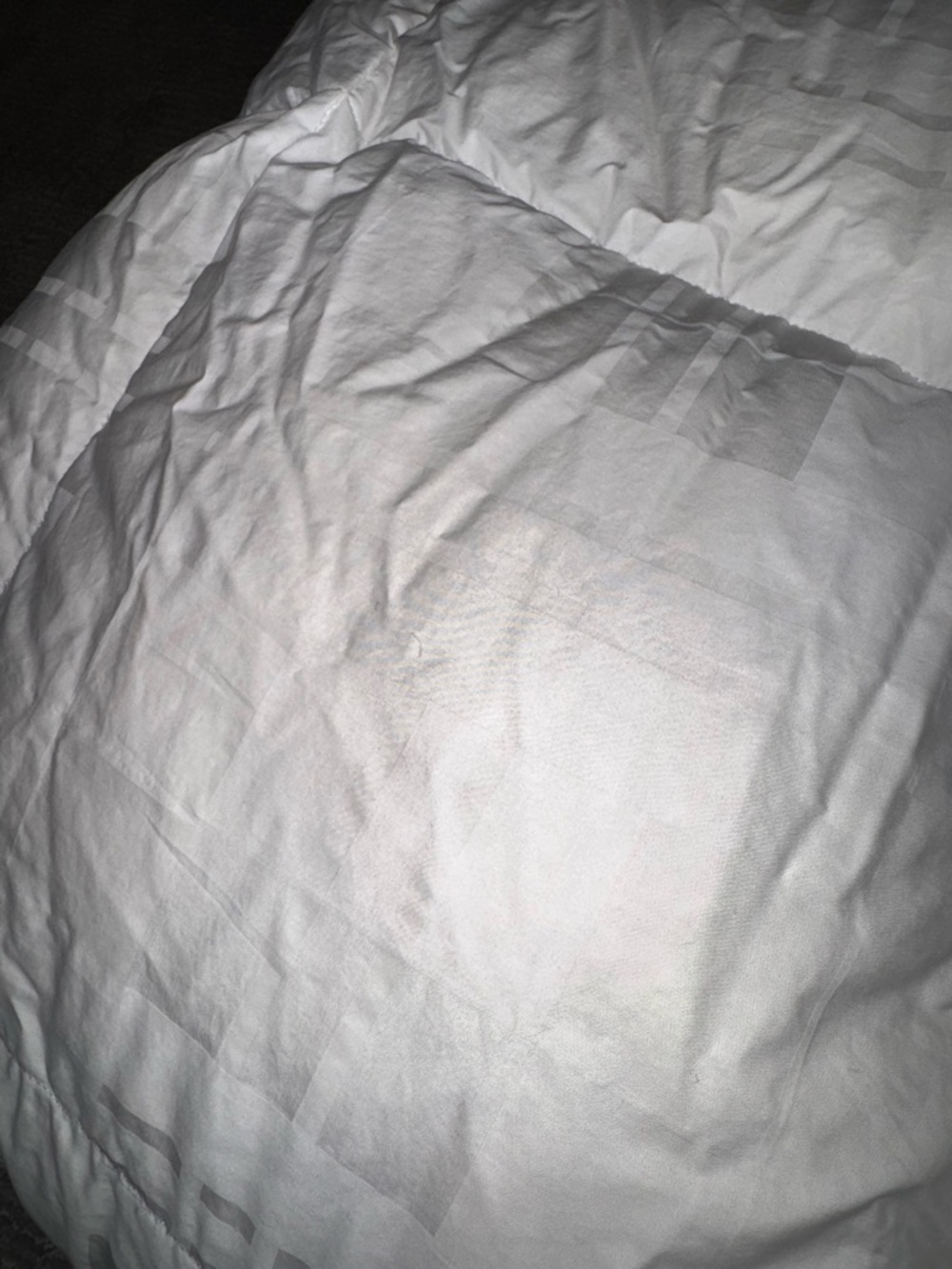 Hotel Collection 75% Goose Down Filled Queen Sized Comforter! Mint Condition! - Picture 3 of 13